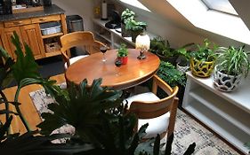 Urban Oasis In Hope Village